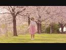 【8STAR】韓国ボカロUni - 桜の雨 踊ってみた【オリジナル振付】