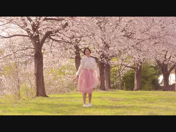 【8STAR】韓国ボカロUni - 桜の雨 踊ってみた【オリジナル振付】