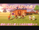 【あつ森】前人未島へようこそ！#18【あつまれどうぶつの森】