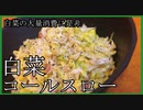 【白菜の大量消費に！！】無限に食べられちゃうやみつき白菜コールスロー