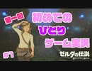 【初投稿】初めての。＃１【ゼルダの伝説 ブレス オブ ザ ワイルド】