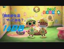 【N.Sw】