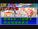 【パワポケ9】貴子バランス型野手（オールB）育成理論風実況#1【解説】