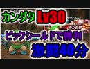 【ドラゴンクエストウォーク】カンダタLv30 激闘40分【上級職Lv50+ビックシールド】