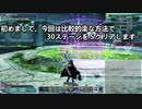 ディバイドクエストステージ30