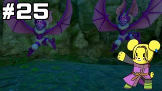 【DQ11S】追駆せし時と勇者 part25【実況】