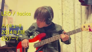 LEO/ tacica ハイキュー!!EDテーマ【ベース弾いてみた】