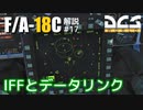 【DCS:F/A-18C】解説#17 IFFとデータリンク【ゆっくり実況】