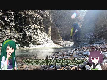 東北ずん子とgungunGUNMA釣り修行#11「早春の渓流偵察」