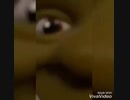Iesu to hentai