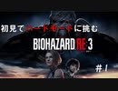 【バイオハザードRE3 】べ、べつに怖くない実況 ＃1