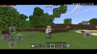 うちのカンスト組が遠征と見せ掛けてマイクラしてます。その2
