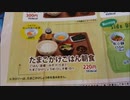 旧作【フルVer】相模原 から 茅ヶ崎 まで 40ｋｍ歩く日 （ノーカット版）
