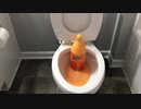メントスファンタをトイレに流してみた