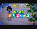 【あつまれどうぶつの森】忙しい人のためのあつ森実況【6日目】