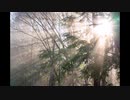 オリジナル曲／Sacred tear #2