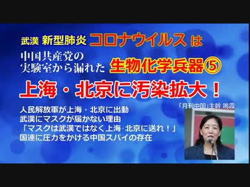 【YouTube不適切認定動画】#005上海・北京で何が起きているのか？/「武漢のマスクは上海に送れ！」