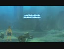 【Switch】リンクの記憶なしで成り行き旅【プレイ動画】part62