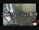 【ゆっくり朗読】ゆっくりさんと世界事件簿 その34