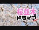 【気分転換】桜並木ドライブ　take2