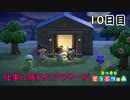 【あつまれどうぶつの森】仕事に疲れたアラサーが無人島生活 10日目