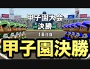 【甲子園決勝】最高の世代で全国の頂点に立てるか！？最終決戦！【パワプロ2019 栄冠ナイン ダイヤのA 真•青道高校編#26】【実況パワフルプロ野球】【AKI GAME TV】