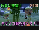 【無人島生活７日目】竹島に遭遇！？そしてついに、たぬき商店！！【どうぶつの森】〜I meet with the island of the bamboo〜