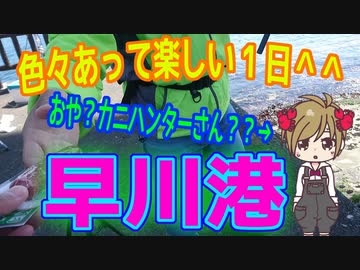 釣り動画ロマンを求めて 334釣目（早川港）