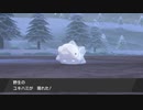 【初見実況】おきらくにガラル地方を大冒険！【ポケモン剣盾】　Part２１