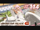 格ゲー好きがやりこむDOA6実況プレイ#114[マリーローズ]