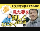 さっき見た夢をやたら詳しく話すよ、何でこういう夢みるかなｗ【ラジオ#061】