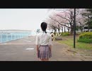 【初投稿】「春のパズル」踊ってみた【オリジナル振付】
