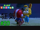 【実況】捻くれ者の無人島生活【あつまれ　どうぶつの森】２０日目