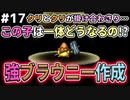 【DQMJ2P実況 #17】強ブラウニーを配合作成するゾ！ドラクエジョーカー2プロフェッショナルを初見実況プレイ！