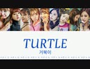 TWICE TURTLE/거북이 (カメ) カナルビ 歌詞 日本語字幕