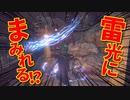 【Bloodborne】｜高難易度ブラッドボーン｜雷光マラカス｜【初見実況】part22