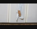 クライミングハムスター　-climbing Hamster -