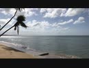 海(田川典一)
