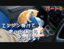 雨なので野良猫を乗車させてエンジン掛けて走り出したらどうなる？【パート３】