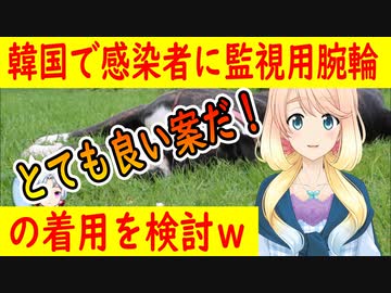 【韓国の反応】電子ブレスレットの着用を検討！本当にいいアイデアだと思う！【世界の〇〇にゅーす】