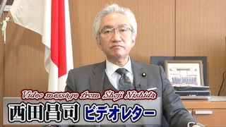 【西田昌司】金融に偏った緊急経済対策、第二弾として絶対に必要な消費税減税[桜R2/4/8]