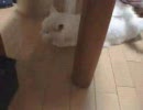 さわってごらんうーるだよ