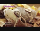 【JAZZ BGM】しっとり疲れを癒すジャズバラード【SLEEP＆HEALING】