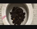 プレッツェルをトイレに流してみた２