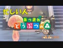 【あつまれどうぶつの森】忙しい人のためのあつ森実況【7日目】