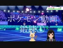 ポケモン動画鍛錬①