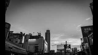 エゴと日和見 / 初音ミク