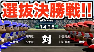 【選抜決勝】初の全国制覇なるか！？春の甲子園決勝戦！【パワプロ2019 栄冠ナイン ダイヤのA 真•青道高校編#35】【実況パワフルプロ野球】【AKI GAME TV】