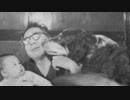 文豪とアルケミストタイトルBGM/Trumpet三重奏/編曲・演奏Harbest