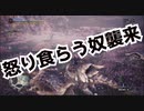 【狩りをしないモンスターハンターワールド：アイスボーン】絽紗のモンハン「イビルジョー編」